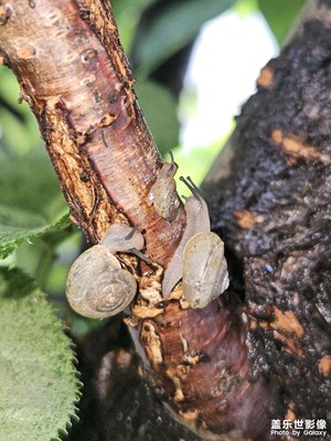 【鏡頭里的六月】出門旅游的一家三口