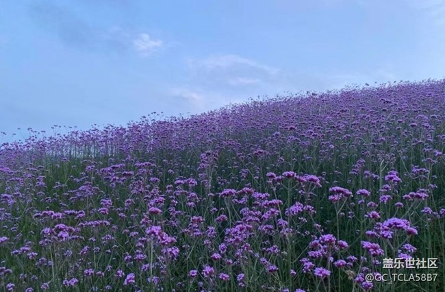 【浪漫盛夏季】美好小鎮(zhèn)