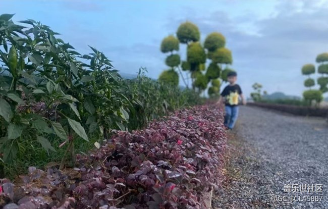 【浪漫盛夏季】美好小鎮(zhèn)