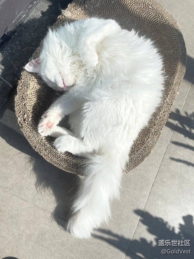 【瞬間及永恒】剎那與恒長