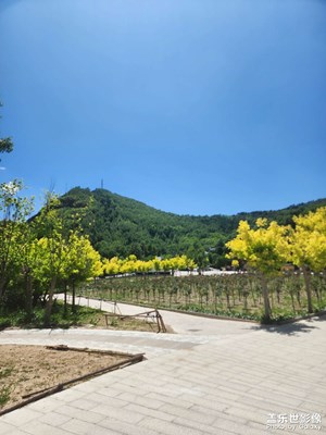 光影里的五彩斑斕 美麗的大自然