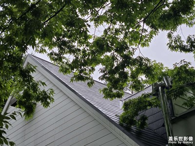 【光影里的五彩斑斕】+休息一下