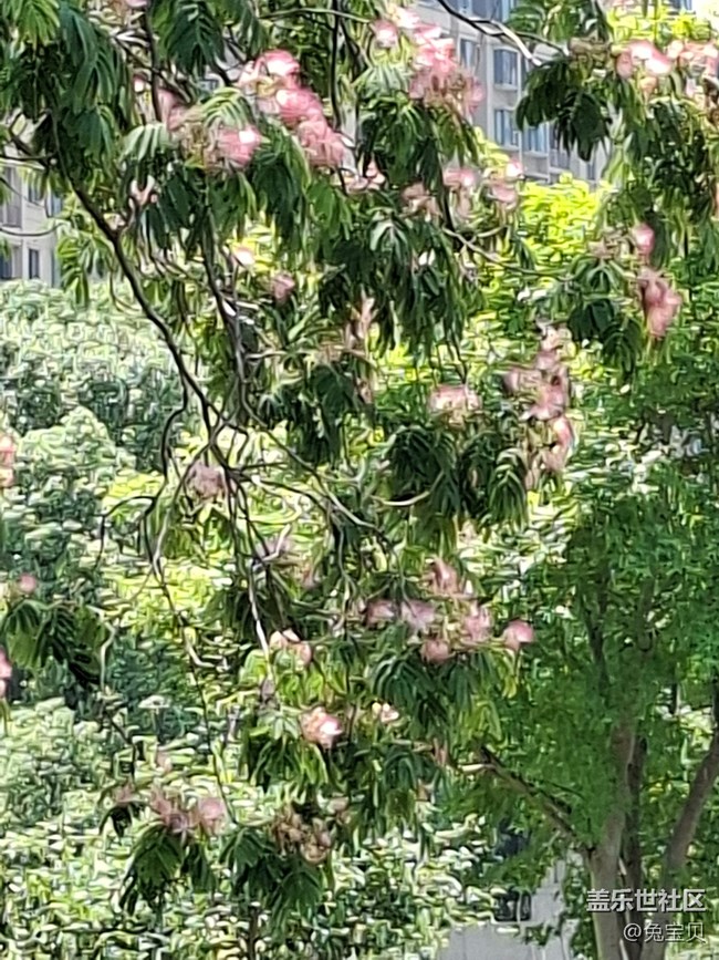 #六月江南暑未闌——夏日