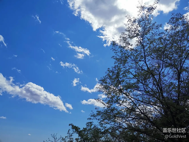 【瞬間的溫度】山野溫度