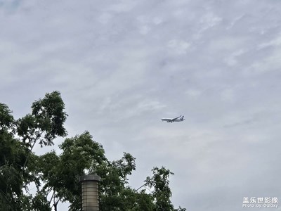 【光影里的五彩斑斕】+正午陽光