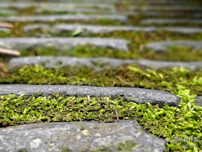 #六月江南暑未闌——夏日