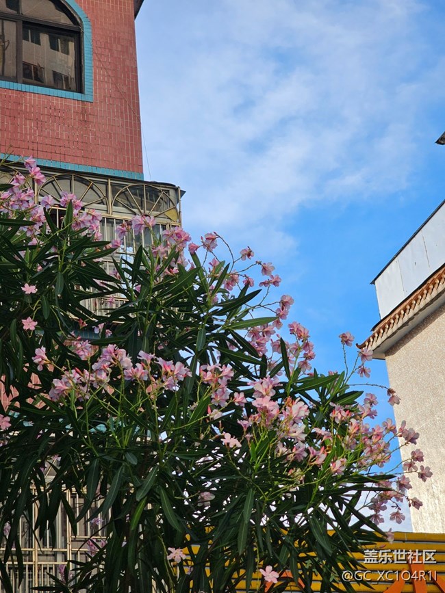 【浪漫盛夏季】夏日陽光