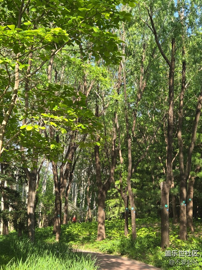 【 粽夏童趣】公園跑步