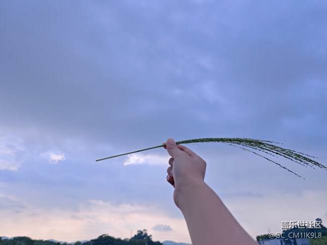 【鵬城夜景】鵬城黃昏