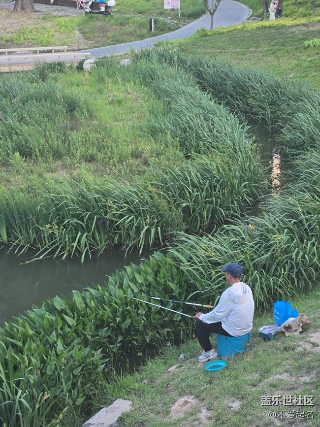 【 粽夏童趣】帶娃垂釣
