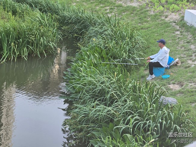 【 粽夏童趣】帶娃垂釣