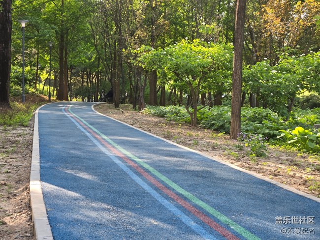 【 粽夏童趣】公園跑步