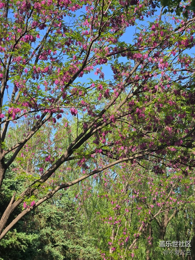 【 粽夏童趣】公園跑步