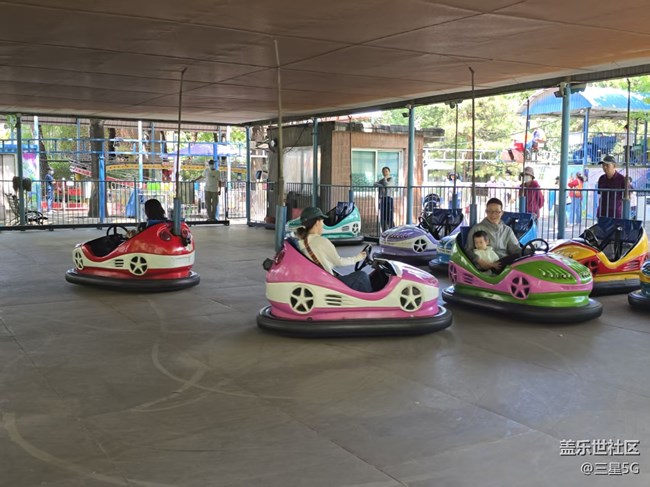 【 粽夏童趣】碰碰車?yán)餁g樂多