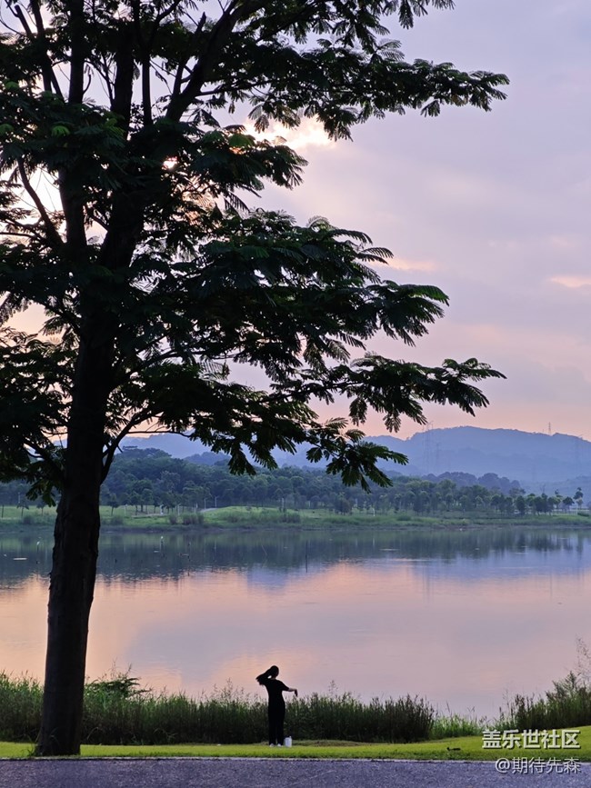 【鵬城夜景】一個(gè)人的舞步
