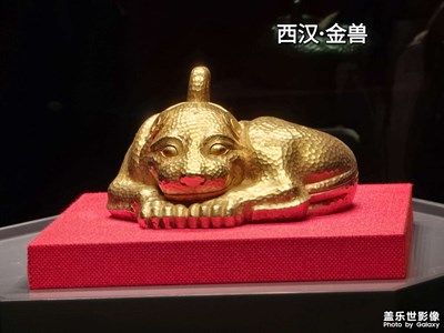 看看金獸增加增加財氣