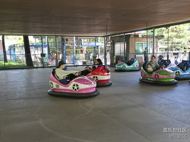 【 粽夏童趣】碰碰車?yán)餁g樂多