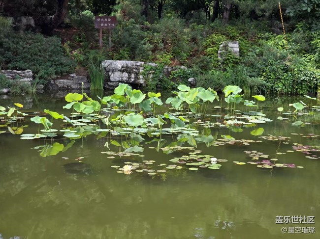 【 粽夏童趣】游園賞花