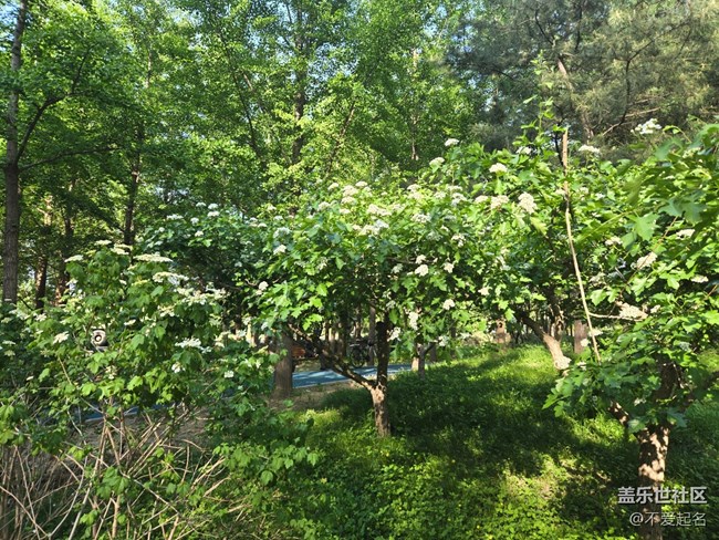 【 粽夏童趣】公園跑步