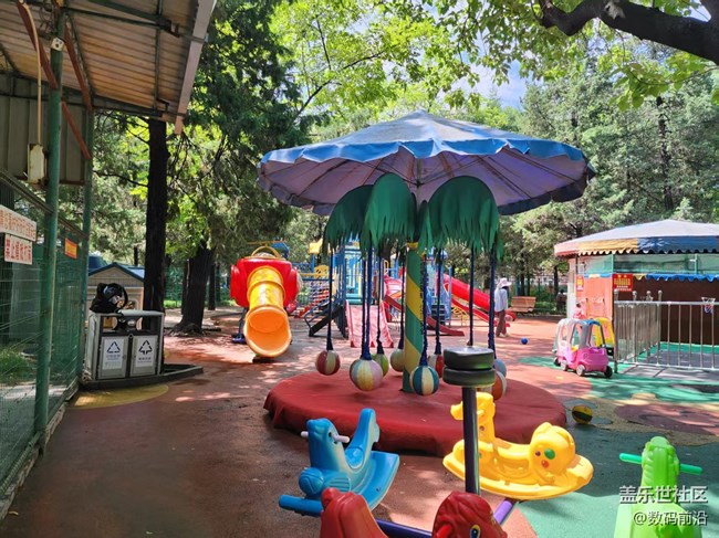 【 粽夏童趣】游樂園里好風(fēng)光