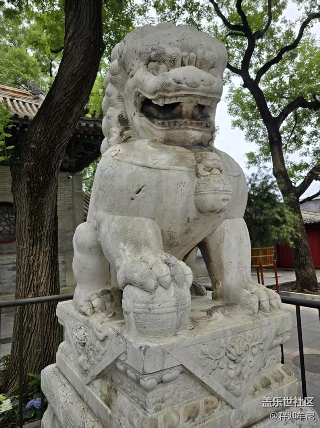 【 粽夏童趣】端午祈福