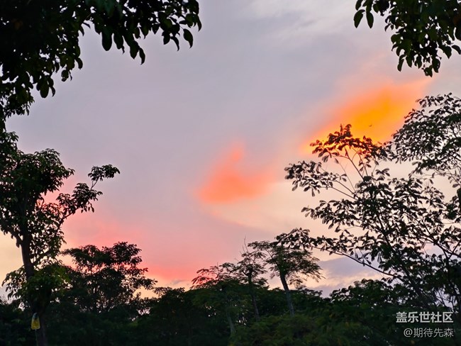 【鵬城夜景】一個(gè)人的舞步