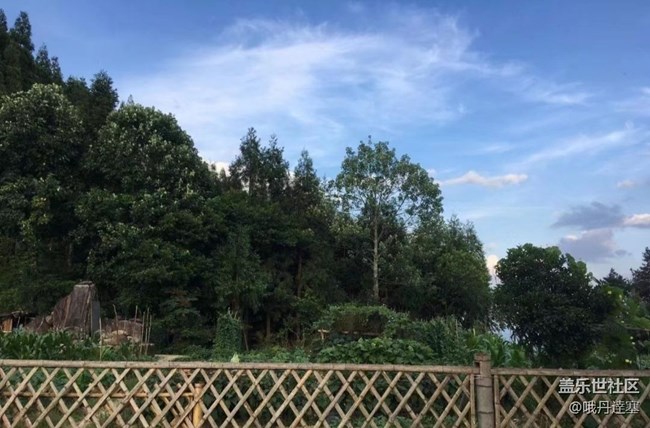 【浪漫盛夏季】午后