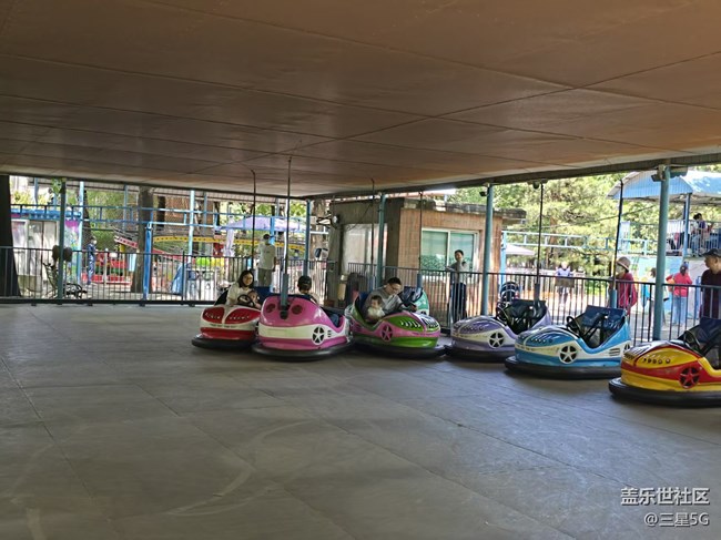 【 粽夏童趣】碰碰車?yán)餁g樂多