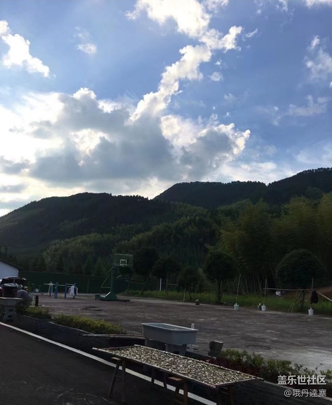 【浪漫盛夏季】午后