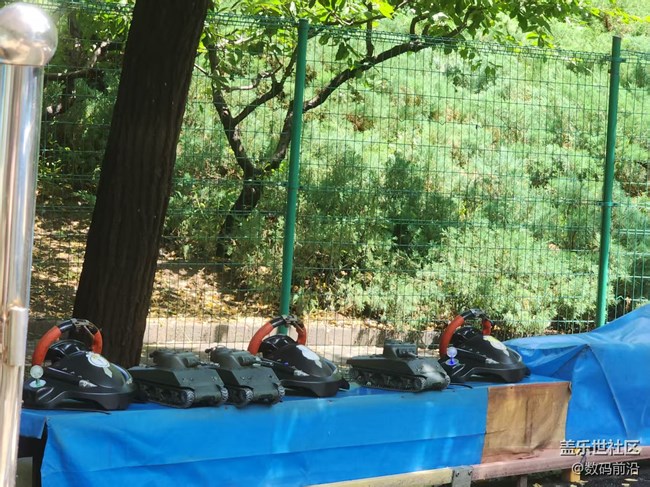 【 粽夏童趣】游樂園里好風(fēng)光