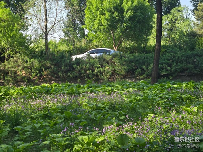 【 粽夏童趣】公園跑步