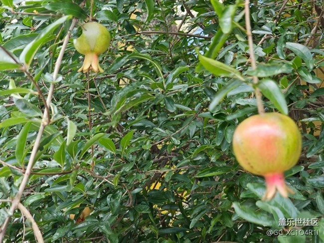【浪漫盛夏季】夏日陽光