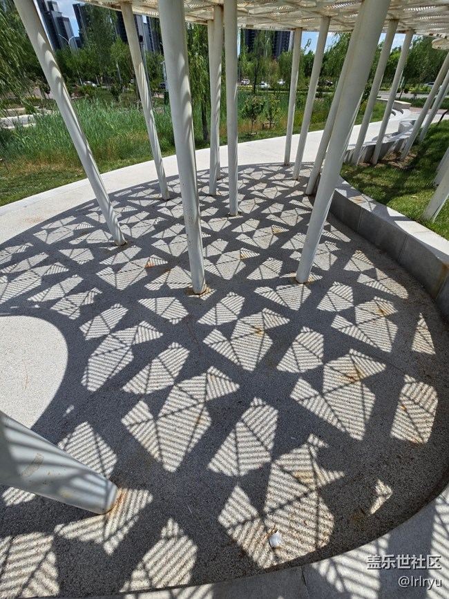 【夏日松弛感】漫步陽光下