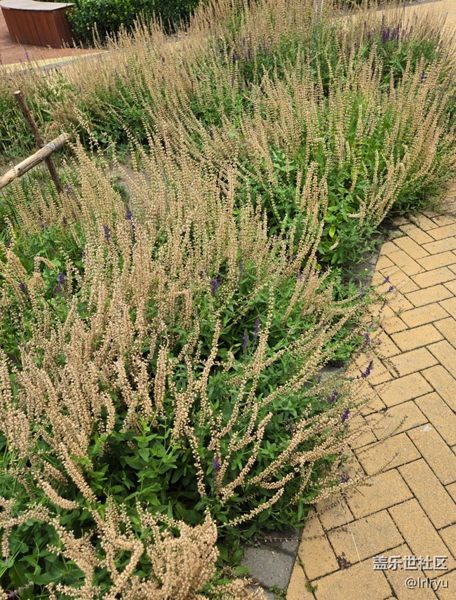 【夏日松弛感】漫步陽光下