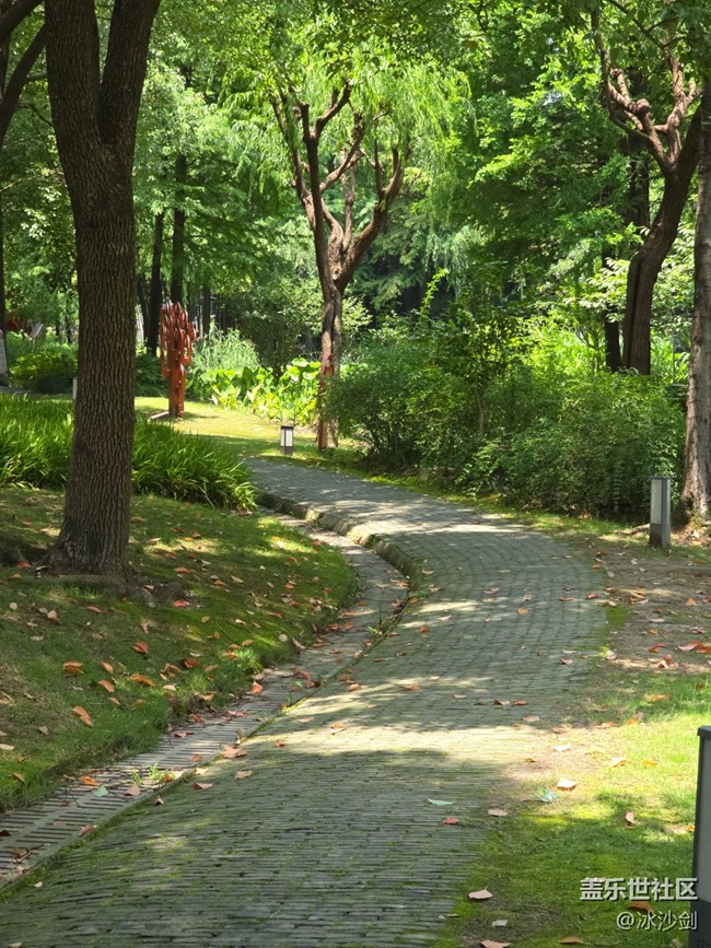 #六月江南暑未闌——午后散步