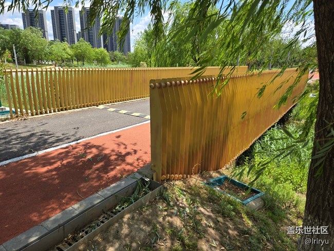 【夏日松弛感】漫步陽光下