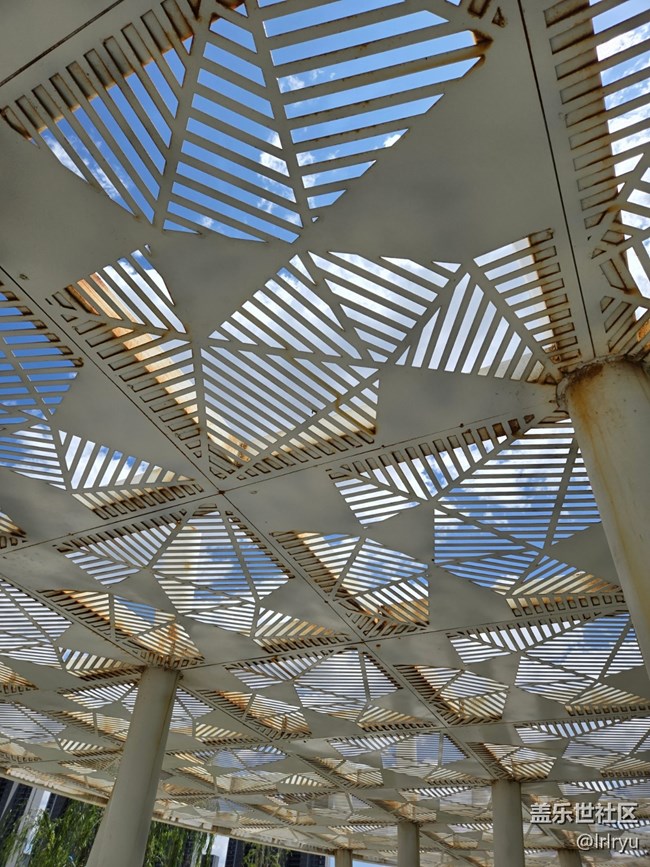 【夏日松弛感】漫步陽光下