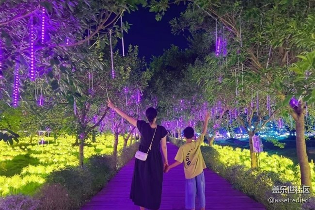 【鵬城夜景】夜晚游