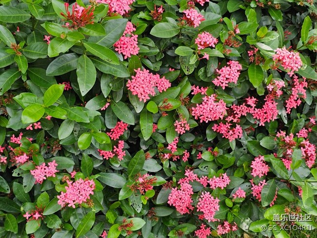 【瞬間的溫度】6月好時光