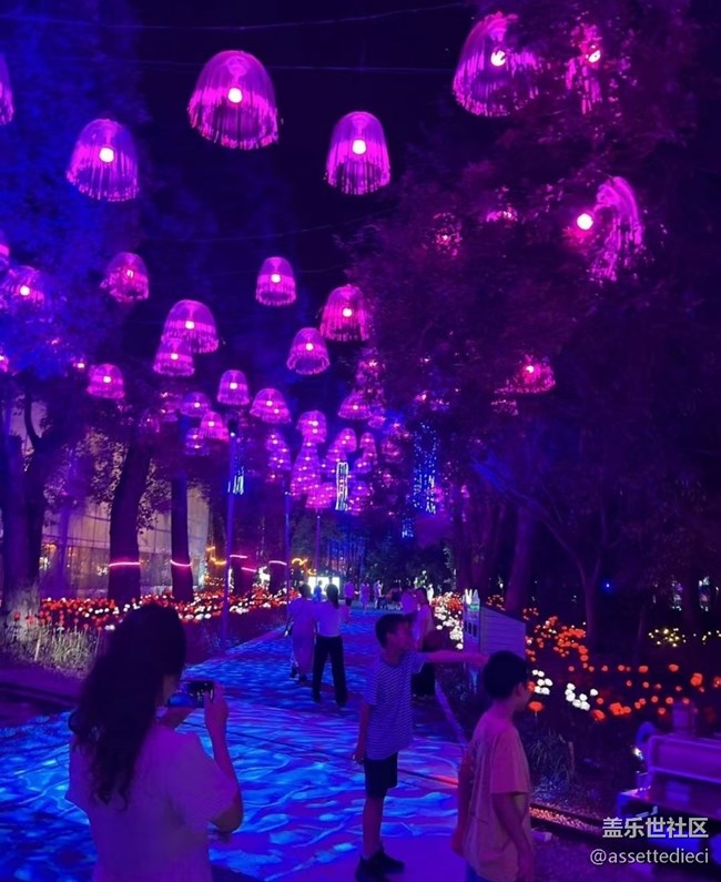 【鵬城夜景】夜晚游