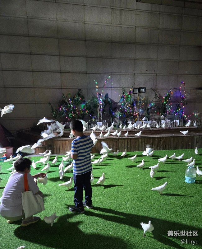 【鵬城夜景】街景夜色