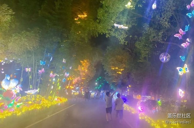 【鵬城夜景】夜晚游