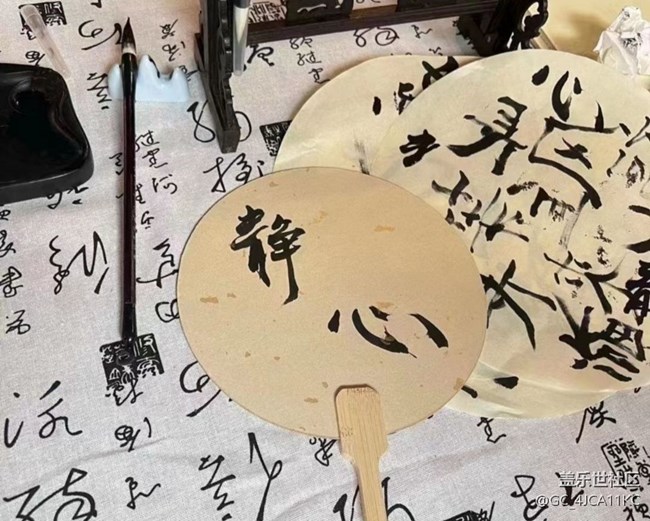 【鵬城夜景】喝喝茶