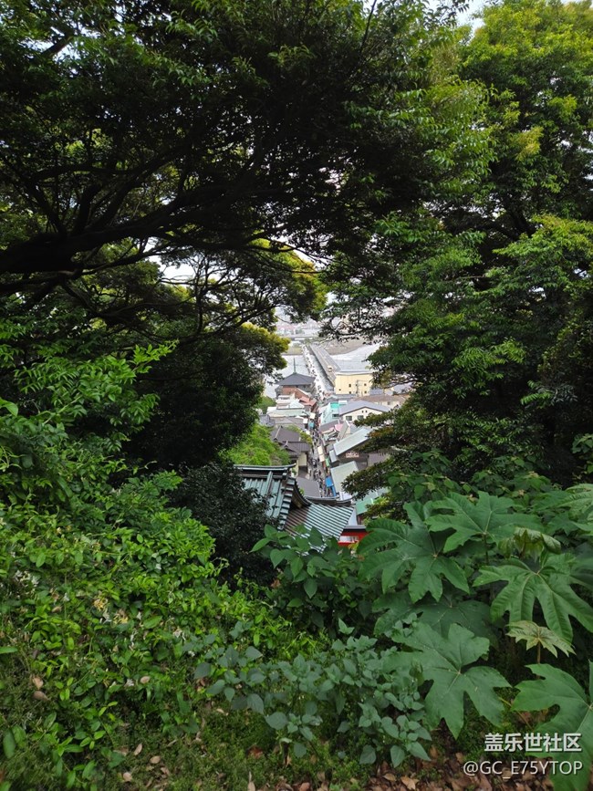 【金陵六月食光】牛肉飯