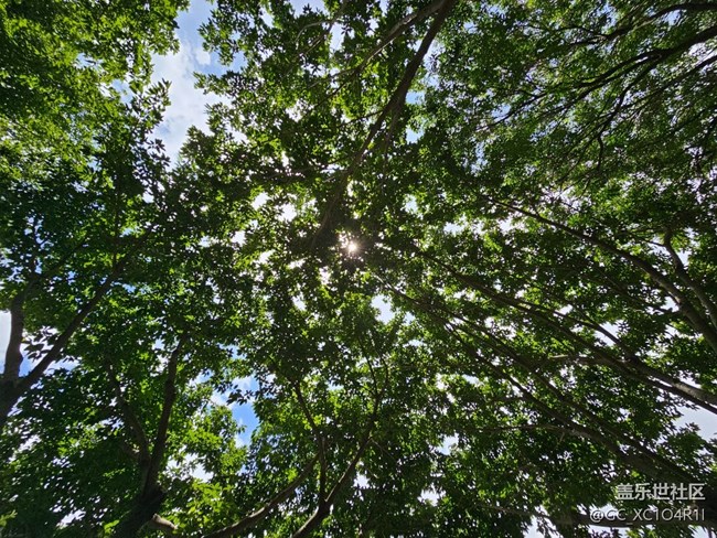 【瞬間的溫度】6月好時光