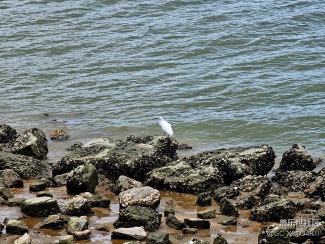 【瞬間的溫度】6月好時光
