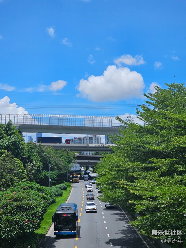 【瞬間的溫度】繽紛夏日
