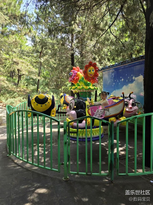 【 粽夏童趣】孩子的天地