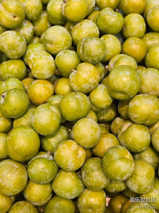 【夏日消暑搭子】清涼一夏