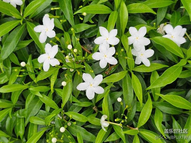 【浪漫盛夏季】悠閑盛夏